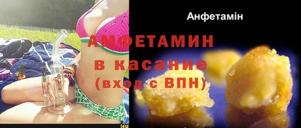твердый Аркадак