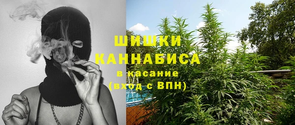 твердый Аркадак